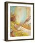 Shifting Slope-Gabriela Villarreal-Framed Art Print