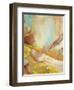 Shifting Slope-Gabriela Villarreal-Framed Art Print