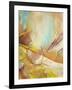 Shifting Slope-Gabriela Villarreal-Framed Art Print