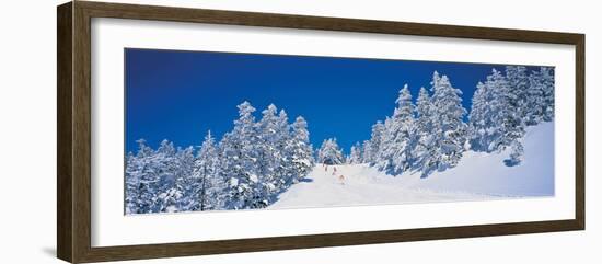 Shiga Kogen Nagano Japan-null-Framed Photographic Print