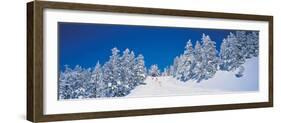 Shiga Kogen Nagano Japan-null-Framed Photographic Print