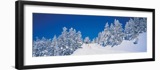 Shiga Kogen Nagano Japan-null-Framed Photographic Print