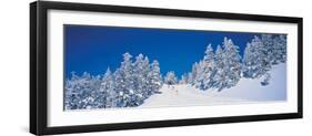 Shiga Kogen Nagano Japan-null-Framed Photographic Print