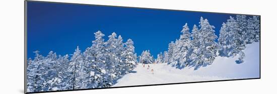 Shiga Kogen Nagano Japan-null-Mounted Photographic Print