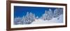 Shiga Kogen Nagano Japan-null-Framed Photographic Print