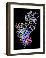 Shiga Toxin From E. Coli-PASIEKA-Framed Photographic Print