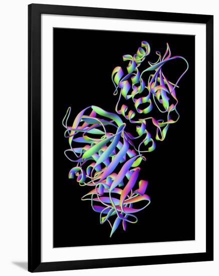 Shiga Toxin From E. Coli-PASIEKA-Framed Photographic Print