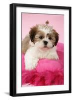 Shih Tzu 10 Week Old Puppy on Pink Cushion-null-Framed Photographic Print