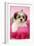 Shih Tzu 10 Week Old Puppy on Pink Cushion-null-Framed Photographic Print