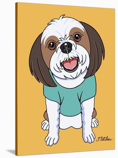 Shih Tzu Brown-Tomoyo Pitcher-Stretched Canvas