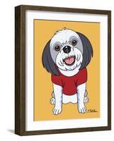 Shih Tzu Gray-Tomoyo Pitcher-Framed Giclee Print