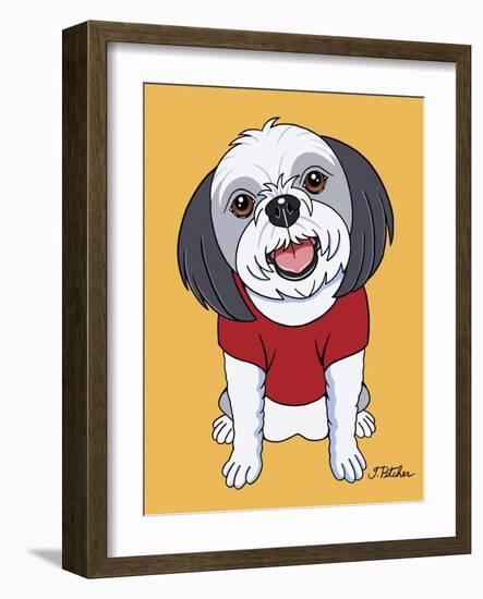 Shih Tzu Gray-Tomoyo Pitcher-Framed Giclee Print