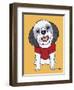 Shih Tzu Gray-Tomoyo Pitcher-Framed Giclee Print