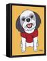 Shih Tzu Gray-Tomoyo Pitcher-Framed Stretched Canvas