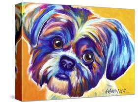 Shih Tzu - Lacey-Dawgart-Stretched Canvas