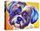 Shih Tzu - Lacey-Dawgart-Stretched Canvas