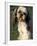 Shih Tzu with Facial Hair Cut Short-Adriano Bacchella-Framed Photographic Print