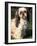 Shih Tzu with Facial Hair Cut Short-Adriano Bacchella-Framed Photographic Print