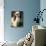 Shih Tzu with Facial Hair Cut Short-Adriano Bacchella-Mounted Photographic Print displayed on a wall