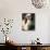 Shih Tzu with Facial Hair Cut Short-Adriano Bacchella-Mounted Photographic Print displayed on a wall