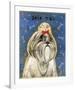 Shih Tzu-John Golden-Framed Giclee Print