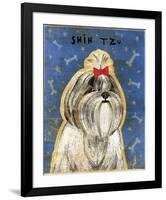 Shih Tzu-John Golden-Framed Giclee Print