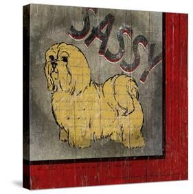 Shih Tzu-Karen J^ Williams-Stretched Canvas