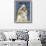 Shih Tzu-John W Golden-Framed Premium Giclee Print displayed on a wall