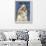 Shih Tzu-John W Golden-Framed Premium Giclee Print displayed on a wall