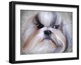 Shihtzu Portrait-Jai Johnson-Framed Giclee Print