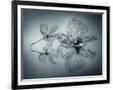 Gramercy Black