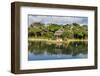 Shikinaen Garden (Shikina-en Garden), UNESCO World Heritage Site, Naha, Okinawa, Japan, Asia-Michael Runkel-Framed Photographic Print