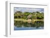 Shikinaen Garden (Shikina-en Garden), UNESCO World Heritage Site, Naha, Okinawa, Japan, Asia-Michael Runkel-Framed Photographic Print