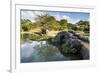 Shikinaen Garden (Shikina-en Garden), UNESCO World Heritage Site, Naha, Okinawa, Japan, Asia-Michael Runkel-Framed Photographic Print