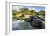 Shikinaen Garden (Shikina-en Garden), UNESCO World Heritage Site, Naha, Okinawa, Japan, Asia-Michael Runkel-Framed Photographic Print