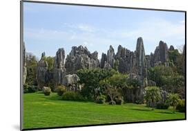 Shilin Stone Forest in Kunming, Yunnan, China-luq-Mounted Photographic Print