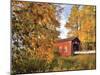 Shimanek Covered Bridge in Morning Light in Lane County, Oregon, USA-Jaynes Gallery-Mounted Premium Photographic Print