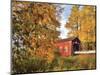 Shimanek Covered Bridge in Morning Light in Lane County, Oregon, USA-Jaynes Gallery-Mounted Photographic Print