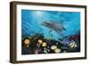 Shimmer Bay-Scott Westmoreland-Framed Art Print