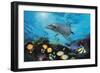 Shimmer Bay-Scott Westmoreland-Framed Premium Giclee Print