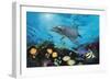 Shimmer Bay-Scott Westmoreland-Framed Premium Giclee Print