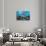 Shimmer Bay-Scott Westmoreland-Stretched Canvas displayed on a wall