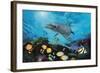 Shimmer Bay-Scott Westmoreland-Framed Art Print