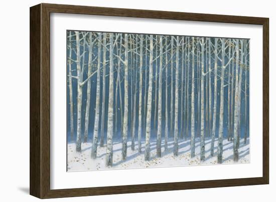 Shimmering Birches-James Wiens-Framed Art Print