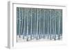 Shimmering Birches-James Wiens-Framed Art Print