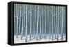 Shimmering Birches-James Wiens-Framed Stretched Canvas