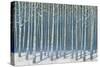 Shimmering Birches-James Wiens-Stretched Canvas