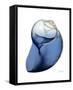 Shimmering Indigo Snail 2-Albert Koetsier-Framed Stretched Canvas