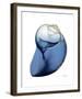 Shimmering Indigo Snail 2-Albert Koetsier-Framed Photo