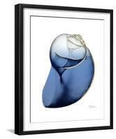 Shimmering Indigo Snail 2-Albert Koetsier-Framed Photo